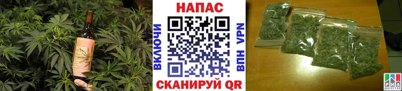 Canna-Cookies конопля Прохладный