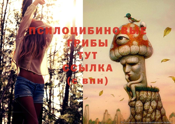 эйфоретик Алексин